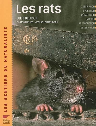 Les rats : description, évolution, répartition, moeurs, reproduction, observation Les rats : description, évolution, répartition, moeurs, reproduction, observation