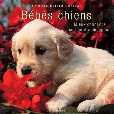 Bébés chiens : mieux connaître son petit compagnon Bébés chiens : mieux connaître son petit compagnon