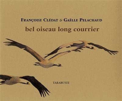 Bel oiseau long courrier Bel oiseau long courrier