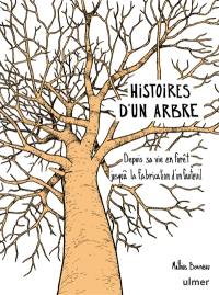 Histoires d'un arbre : depuis sa vie en forêt jusqu'à la fabrication d'un fauteuil
