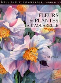 Fleurs et végétaux à l'aquarelle en vente aux éditions de saxe