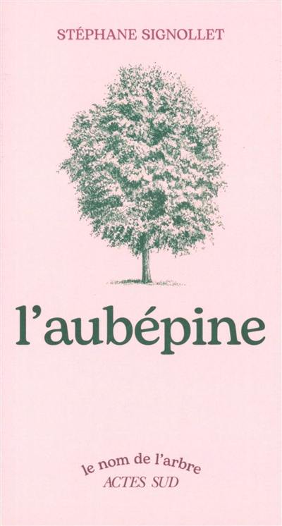 L'aubépine
