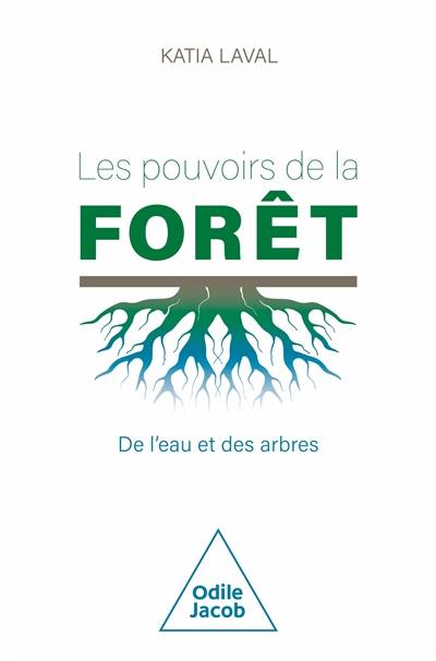 Les pouvoirs de la forêt : de l'eau et des arbres