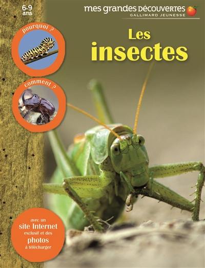Les insectes Les insectes