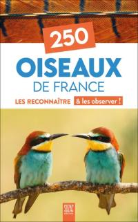 250 oiseaux de France : les reconnaître & les observer !