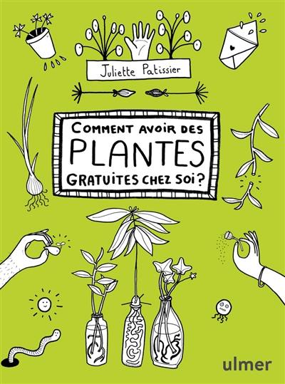 Comment avoir des plantes gratuites chez soi ? Comment avoir des plantes gratuites chez soi ?