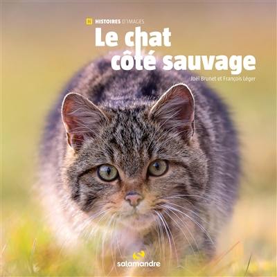 Le chat côté sauvage Le chat côté sauvage