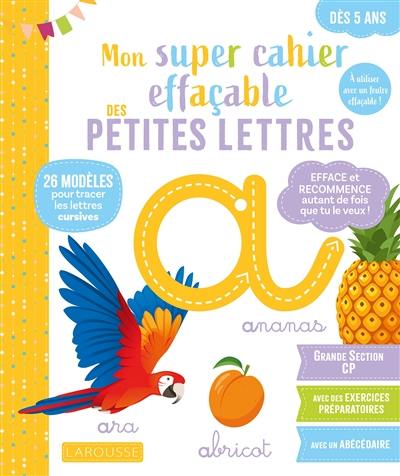 Mon grand cahier effaçable : petites lettres : de la grande section au CP, 5-6 ans Mon grand cahier effaçable : petites lettres : de la grande section au CP, 5-6 ans