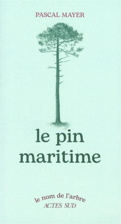 Le pin maritime