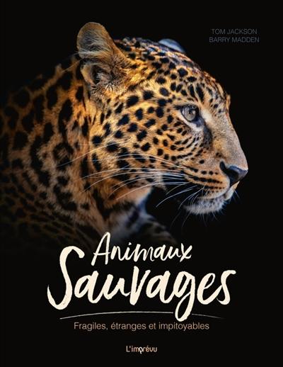 Animaux sauvages : fragiles, étranges et impitoyables Animaux sauvages : fragiles, étranges et impitoyables