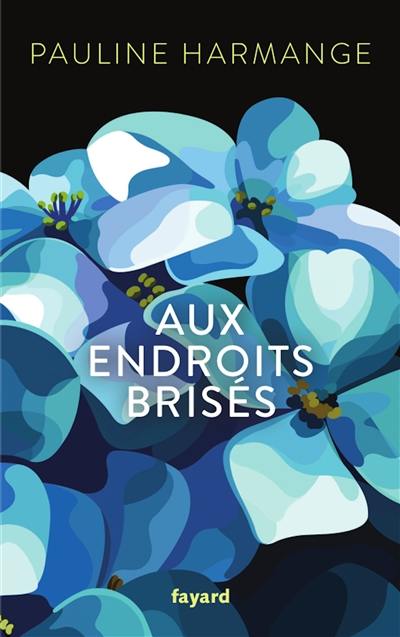 Aux endroits brisés Aux endroits brisés