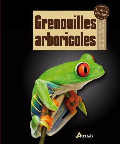 Grenouilles arboricoles : agalychnis callidryas, hyla sp., litoria sp., etc Grenouilles arboricoles : agalychnis callidryas, hyla sp., litoria sp., etc