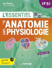L'essentiel de l'anatomie et de la physiologie : IFSI