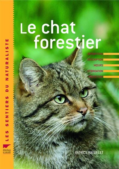 Le chat forestier d'Europe : répartition, description, moeurs, hybridation, protection Le chat forestier d'Europe : répartition, description, moeurs, hybridation, protection