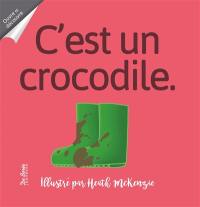 C'est un crocodile