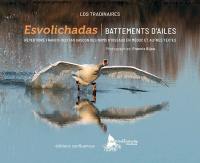 Battements d'ailes : répertoire franco-occitan gascon des noms d'oiseaux en Médoc et autres textes. Esvolichadas
