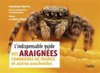 L'indispensable guide des araignées communes de France et autres arachnides