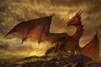Histoires de dragon·nes !